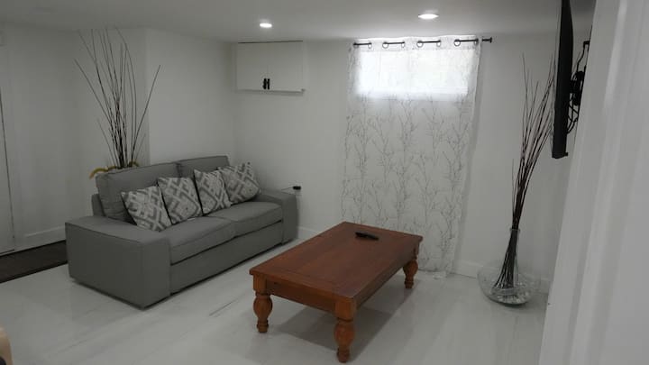 2 Bedroom Apt New Reno Free Parking Lower Level . - Richmond Hill
