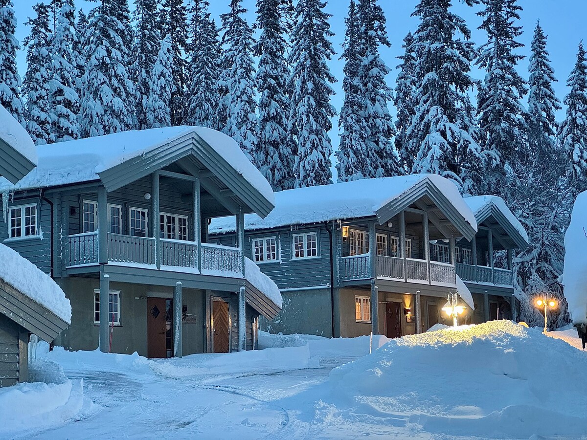 The exterior of a chalet-style building is depicted, showcasing two levels with balconies. Snow blankets the roofs and grounds, while tall evergreen trees surround the structure. Soft lighting near the entrance and a peaceful winter scene create a serene atmosphere.