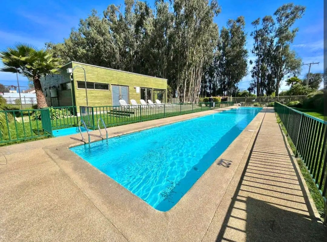 A rectangular outdoor swimming pool is framed by manicured grass and surrounded by tall eucalyptus trees. A poolside building is visible in the background, complemented by sun loungers along the pool’s edge. Bright blue water invites relaxation under clear skies.