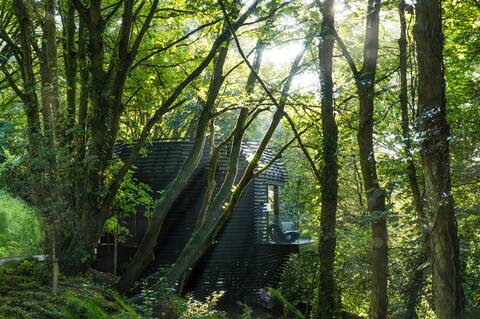 Woodland Suites @ The Montenotte