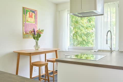 Minimalistic 2 room apartment 5 min. from Rhein
