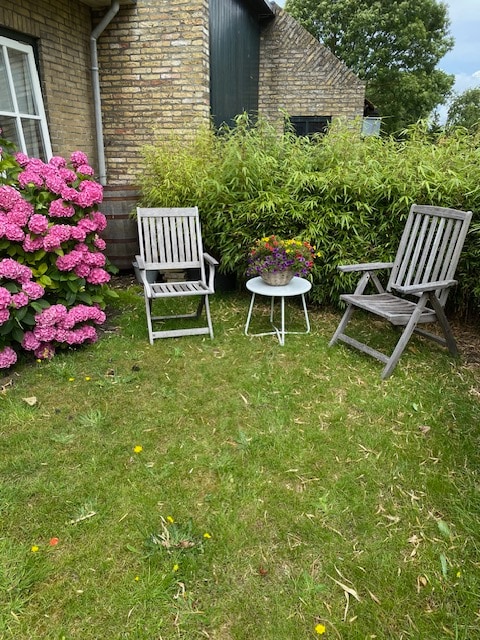 A serene outdoor seating area is presented, featuring two wooden chairs positioned beside a small white table. Vibrant pink hydrangeas and lush green bamboo surround the space, creating a peaceful garden setting ideal for relaxation.