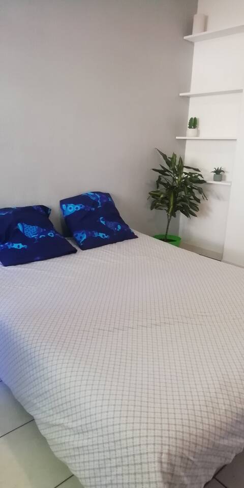 Airbnb performant: Studio with terrace. Hospitals and universities 10 minutes from the center. à Hôpitaux Facultés