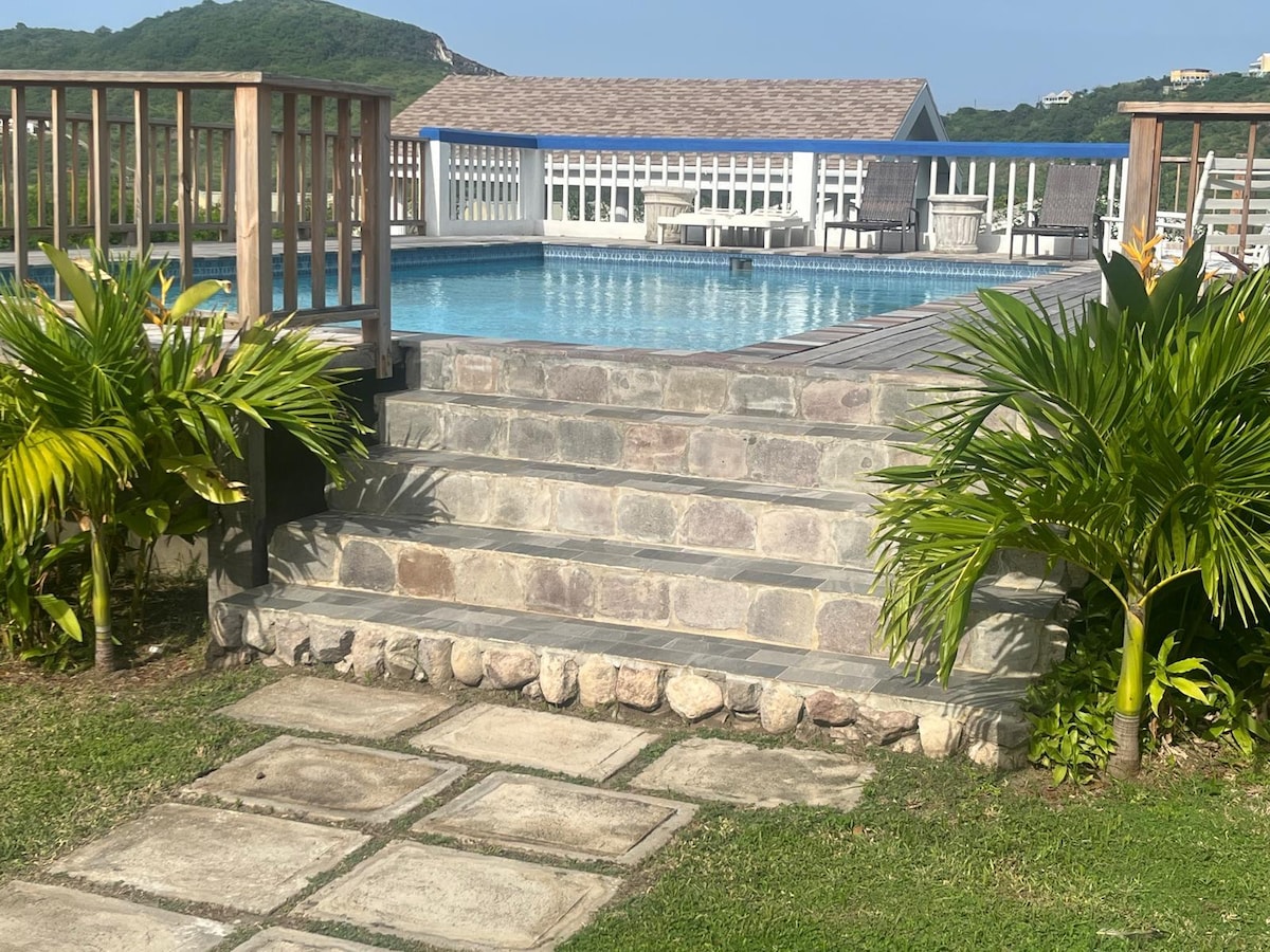Stone steps lead from a grassy area to a turquoise pool, surrounded by sun loungers. Lush green plants frame the pool area, and a large building with multiple windows is visible in the background, offering views of the landscape beyond.