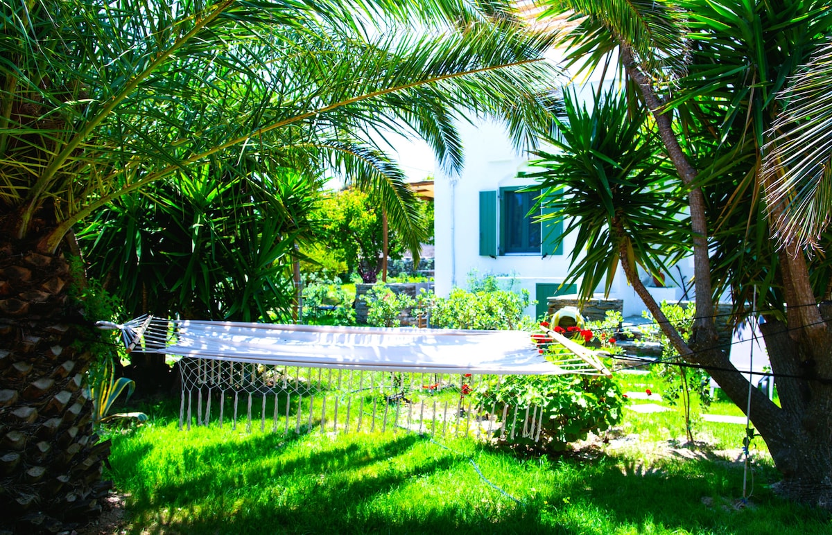 A hammock is gently draped between palm trees, situated on a lush green lawn surrounded by various tropical plants. The background reveals a light-colored building with green shutters, suggesting a serene outdoor retreat.
