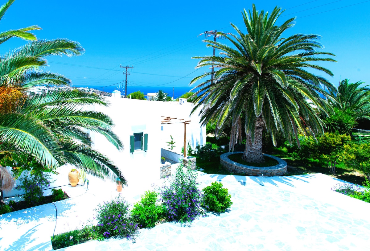 A serene outdoor space is surrounded by palm trees and lush greenery, showcasing a vibrant landscape. The white architecture contrasts with the bright blue sky and distant sea, creating a refreshing ambiance. A stone pathway leads through the garden, inviting exploration.