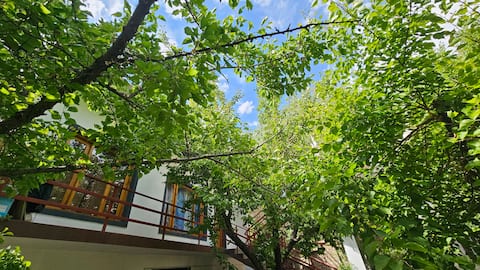 PaldanOrchard 3 bedroom independent house near leh