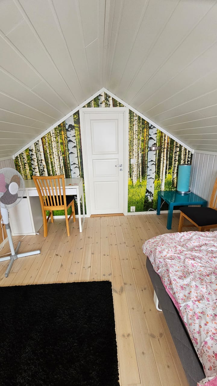 The Forest Room