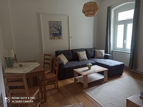 Cozy apartment in the center