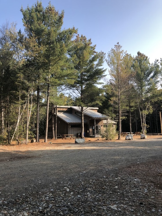 A rustic cabin is nestled among tall green pine trees, surrounded by natural forest scenery. The structure features a combination of wood and metal materials in its architecture, with a clear sky visible above.