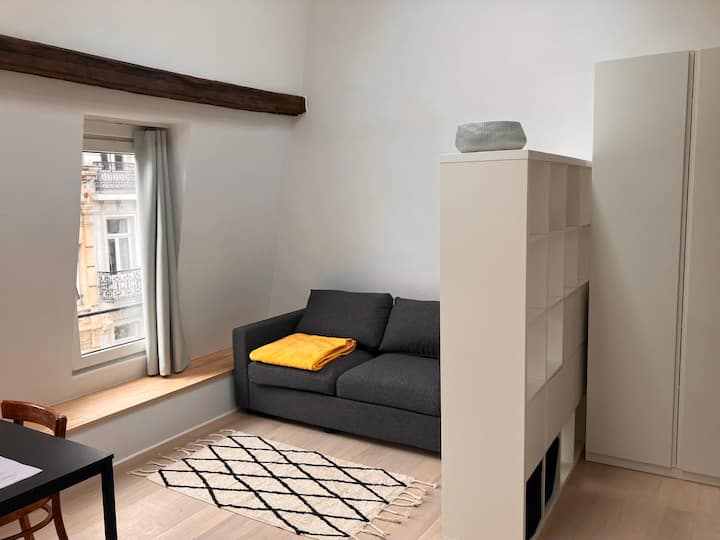 Royal Park Top Floor - Schaerbeek