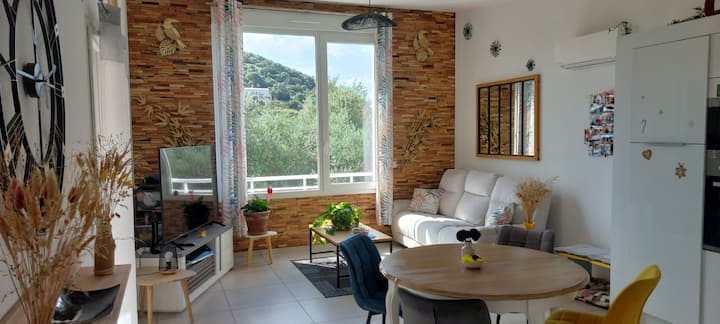 Maison T3 Duplex Avec Jacuzzi. - Ajaccio