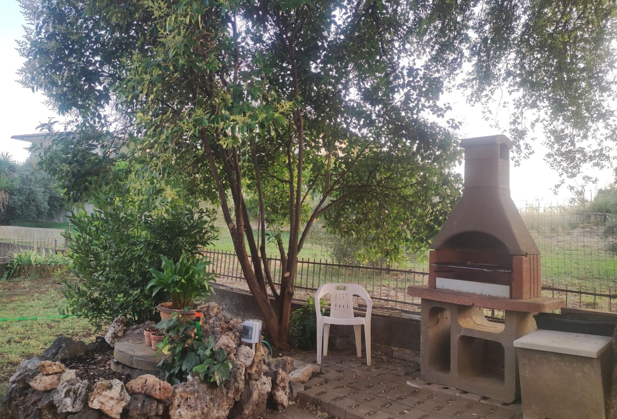 An outdoor space features a barbecue area set against a backdrop of lush greenery. A sturdy stone barbecue is positioned next to a large tree, providing shade. Nearby, a simple white chair complements the natural setting, which includes various plants and decorative rocks.