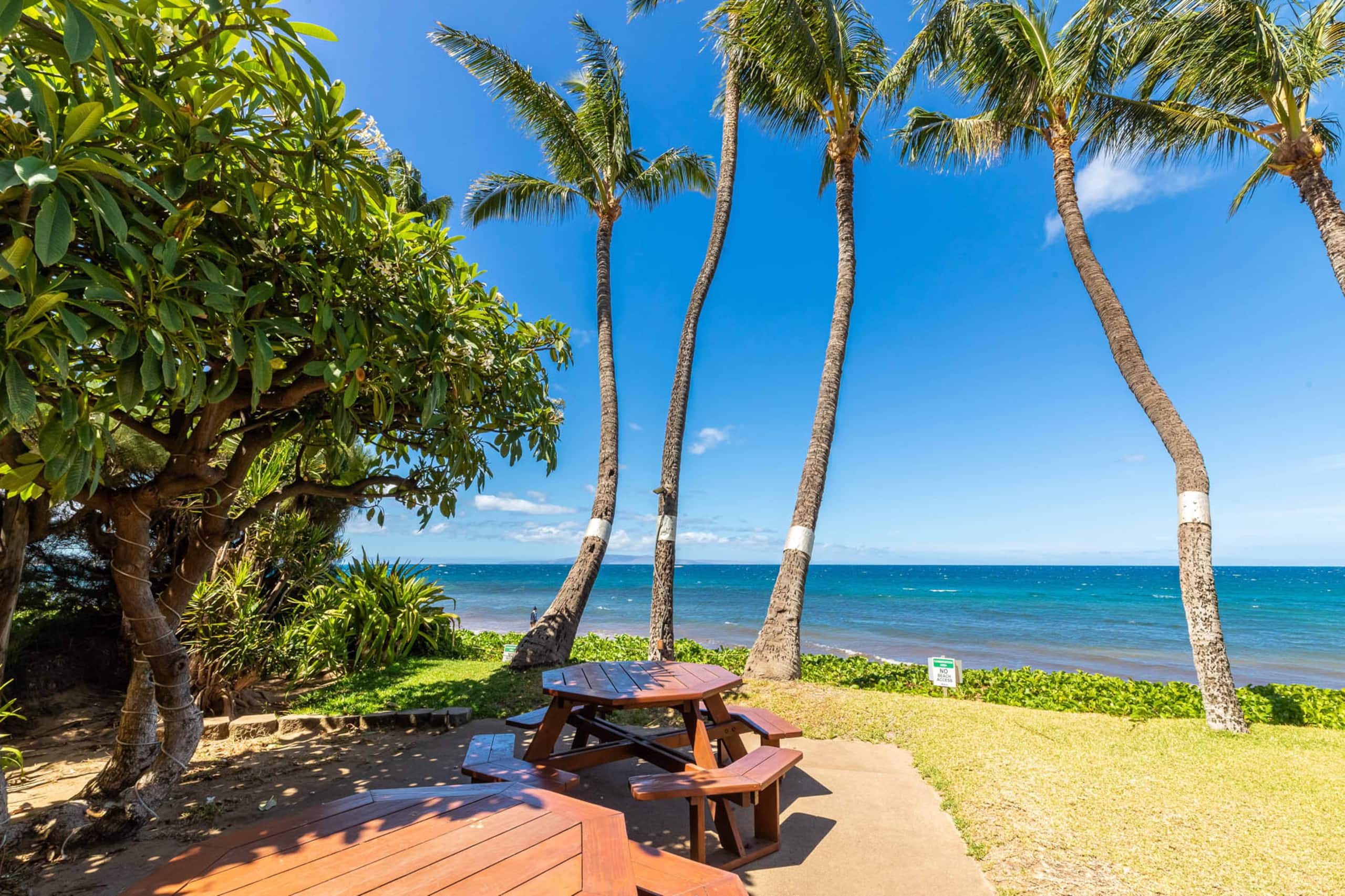 Condo in Kihei · ★4.91 · 1 bedroom · 2 beds · 1 private bath - Image 27