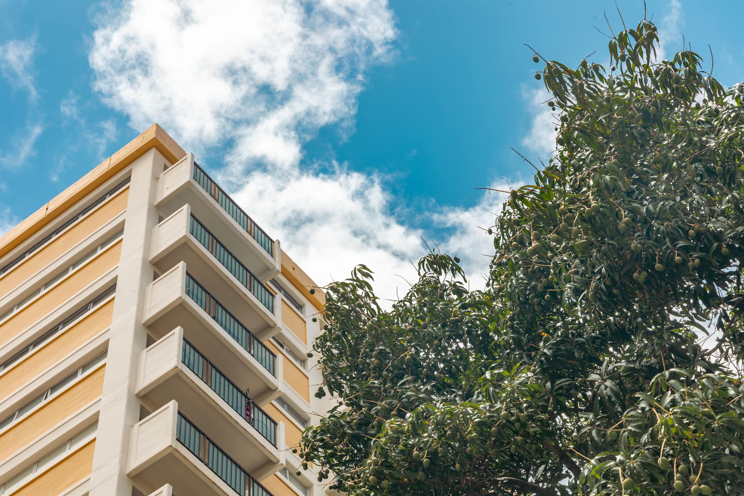 Condo in Honolulu · ★4.83 · 2 bedrooms · 3 beds · 2 private baths - Image 66