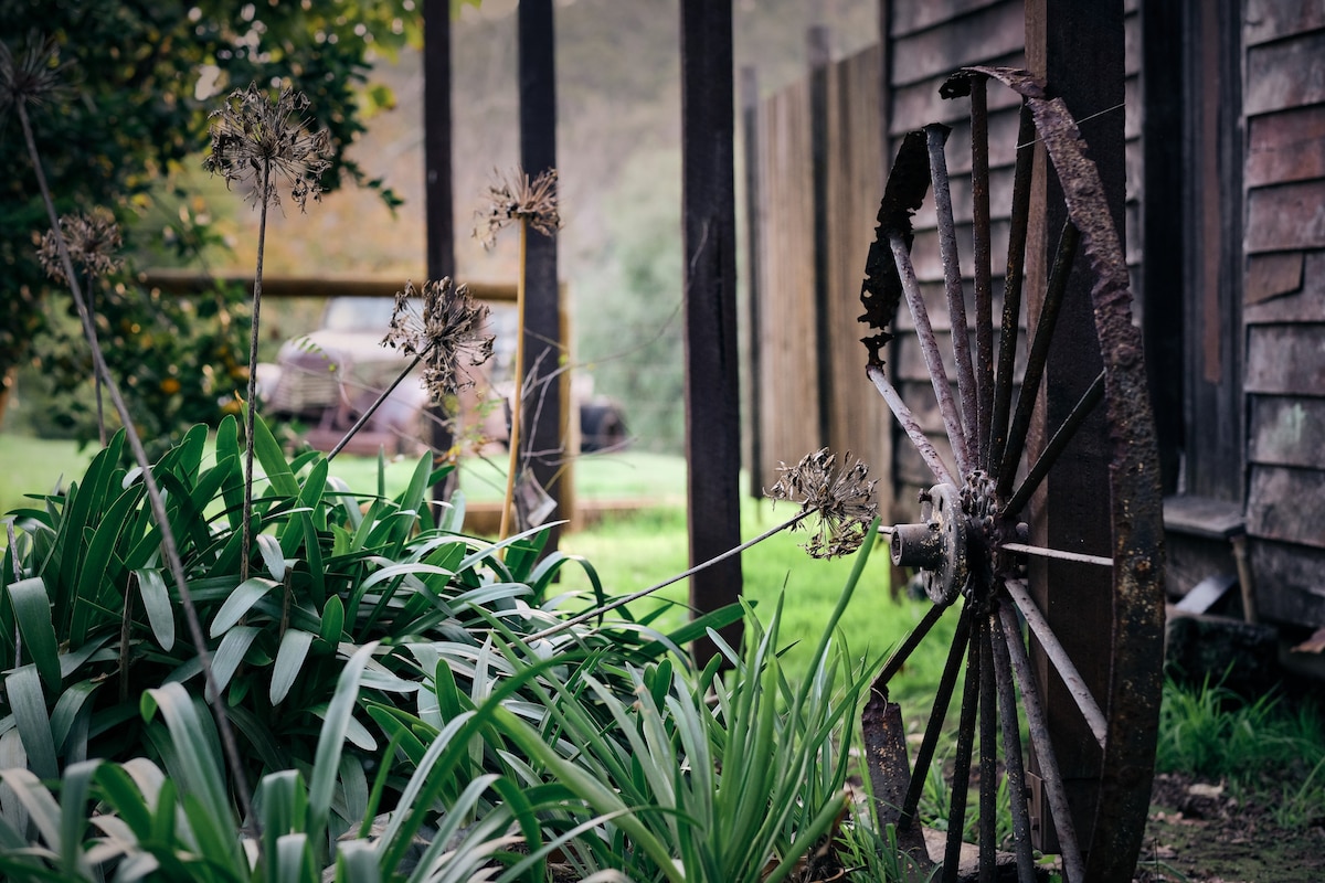 An antique wagon wheel is positioned beside a lush garden, overgrown with plants. The texture of the weathered wood of the nearby cabin is visible in the background, creating a rustic atmosphere, while soft greenery frames the scene, hinting at the tranquility of the property.