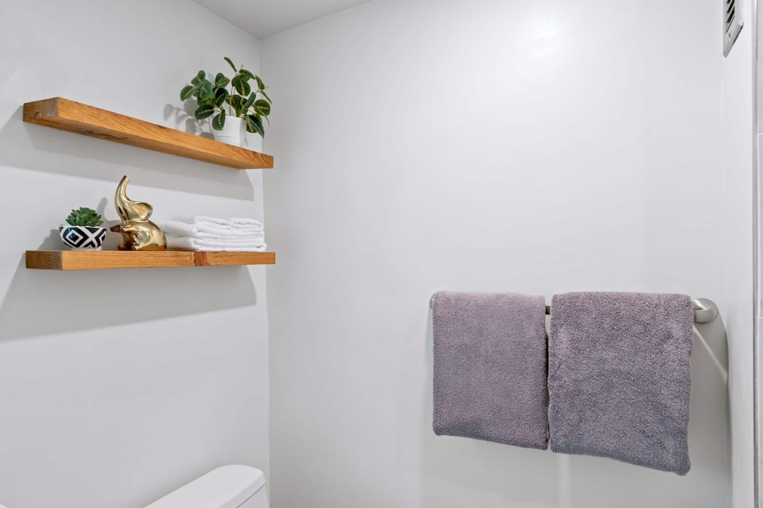 New! Gorgeous Boutique King Studio w/Parking~ - Image 23
