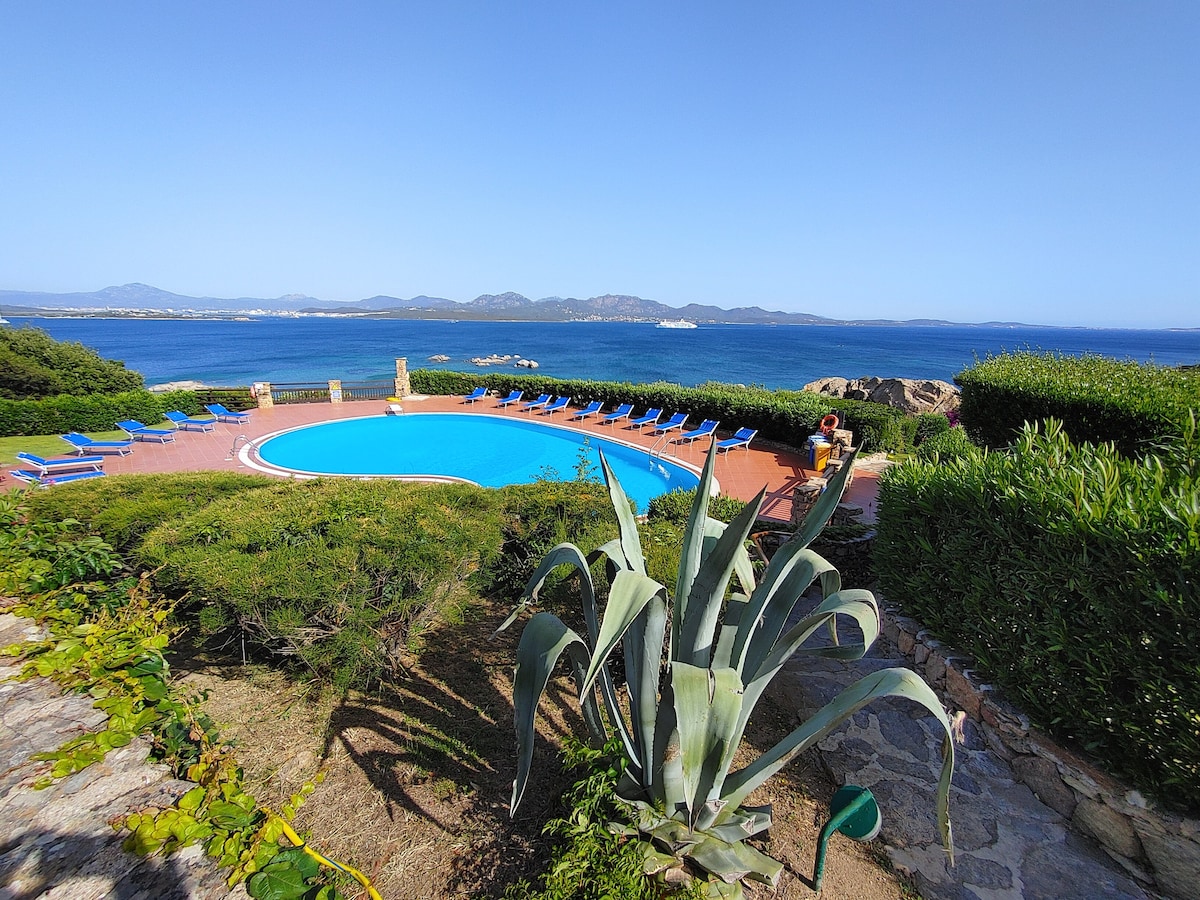 A circular swimming pool is surrounded by green hedges and sun loungers, offering a scenic view of the coastline. The clear blue waters of the pool reflect the bright sky. A small path lined with stones leads to the lush landscape around.