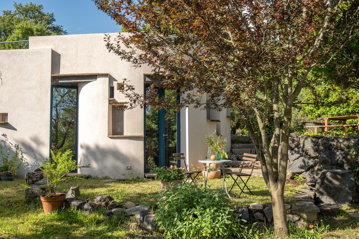 The exterior of the Agrisuite is framed by a vibrant garden, showcasing a minimalist architectural design with large windows. A small table and chairs sit on a stone patio, surrounded by lush greenery and decorative plants, inviting relaxation in this tranquil outdoor space.