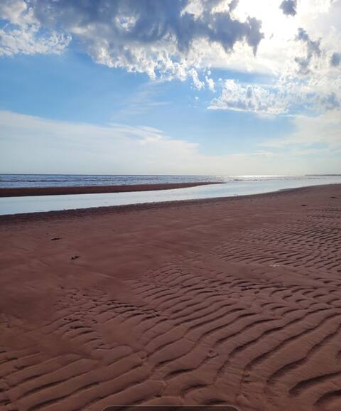 Carol Lynn's Cottage-your home away from home