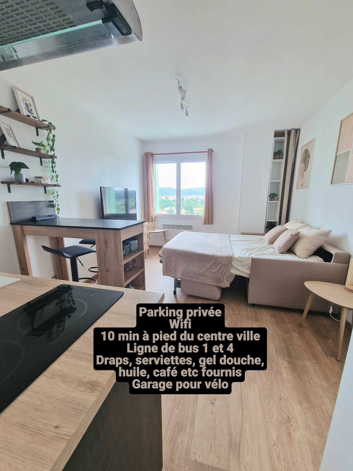 A modern studio features a light-filled layout with a spacious sleeping area and a sofa bed positioned near a window. A kitchenette is equipped with essential appliances, and a dining area with bar stools is present. Natural wood elements add warmth to the space.