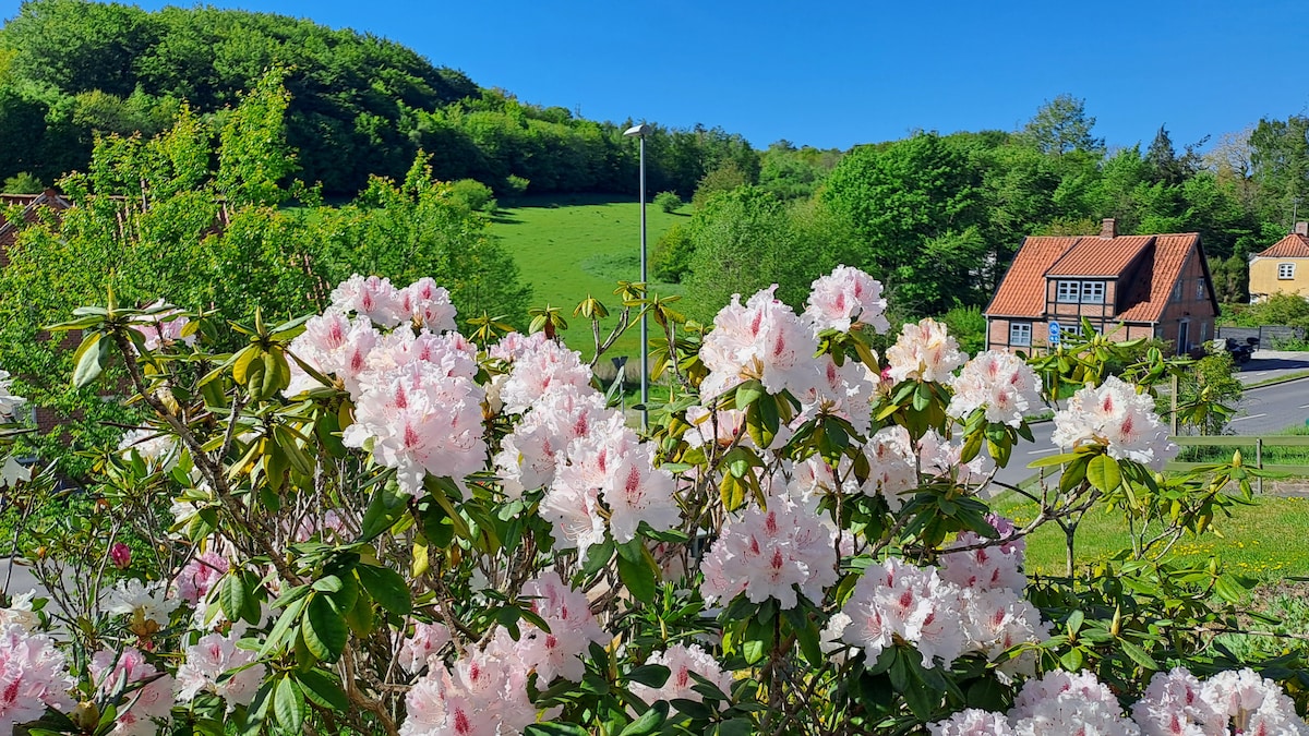 A vibrant scene captures blooming pink rhododendrons in the foreground, contrasting with lush green hills in the background. A charming house is visible to the right, framed by nature and clear blue skies.
