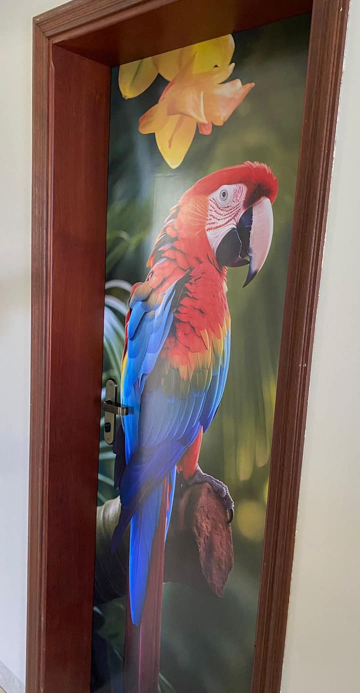 Svaka soba u ovoj velikoj i udobnoj kući dobila je ime po ptici: ovo je četvrti MACAW. Ova se soba sastoji od dva čvrsta kreveta na kat, ormara, klima-uređaja, 400 pramenova i ručnika za tijelo te iznimno mekog lica.