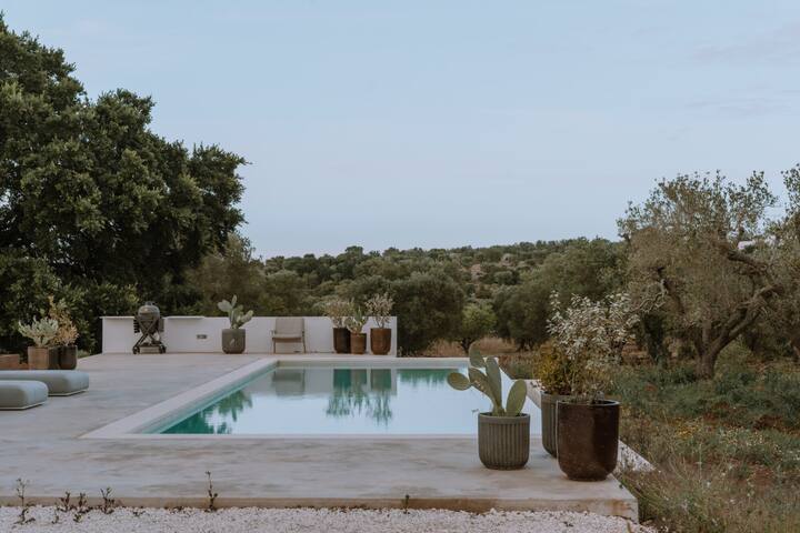 Luxury design villa with pool in top location gallery image 3