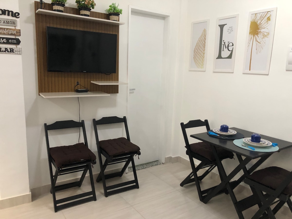Successful Airbnb property: Apartment in Rio near downtown in São Cristóvão