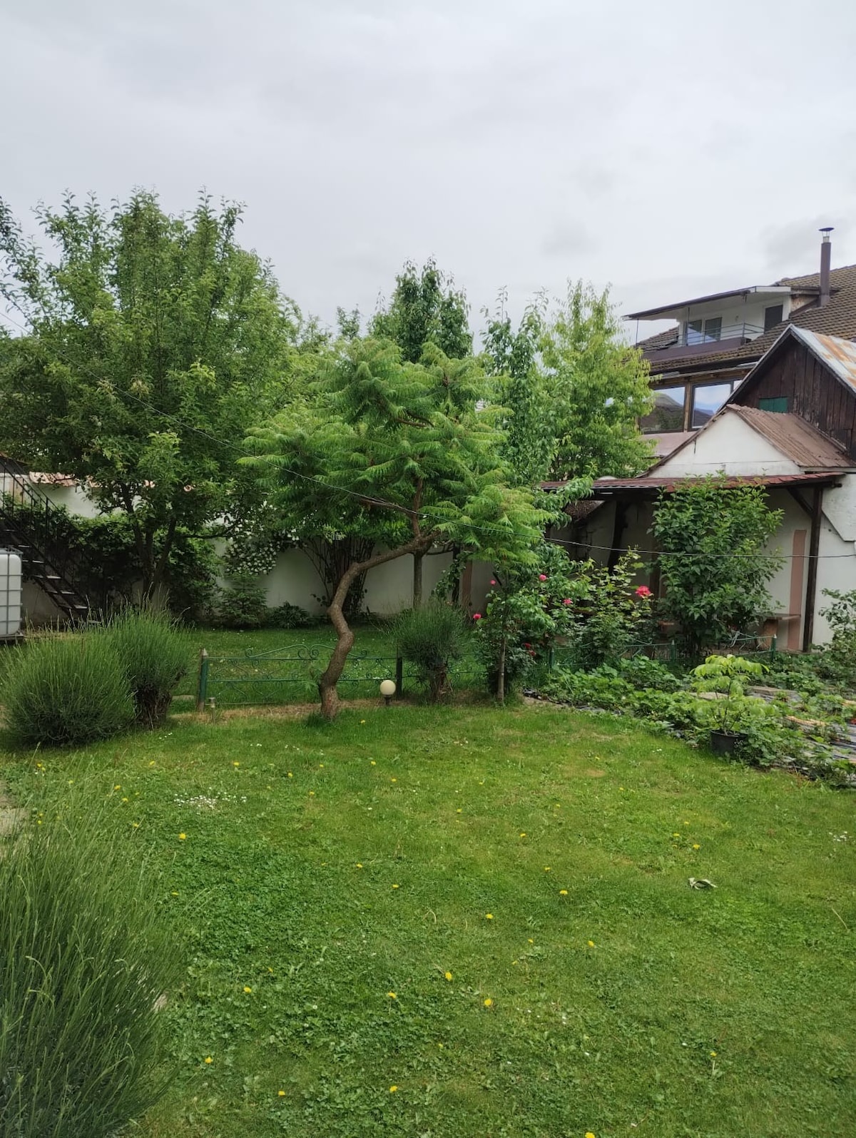 A lush garden area is depicted, showcasing a variety of plants and trees. Grass covers the ground, with greenery surrounding the space. A small tree stands prominently, while bushes and flowering plants add to the garden's appeal. The area is enclosed by a fence, contributing to a private atmosphere.
