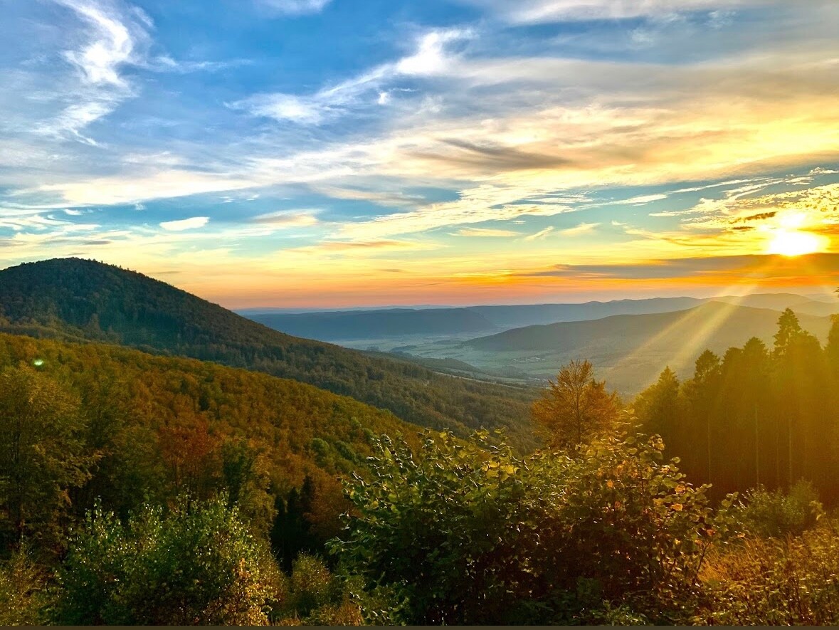 A scenic landscape captures a vibrant sunset over rolling hills, with warm hues reflecting on a clear sky. Lush trees and foliage in various shades of green and amber frame the view, emphasizing the natural beauty of the surrounding area.