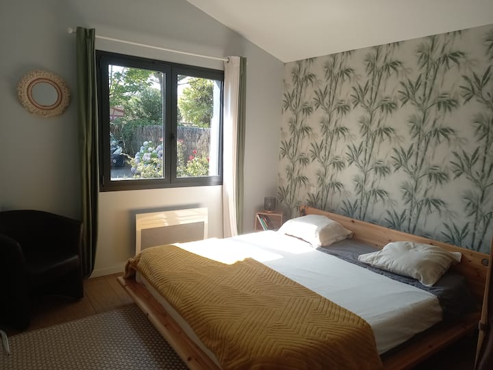 Habitación 1
