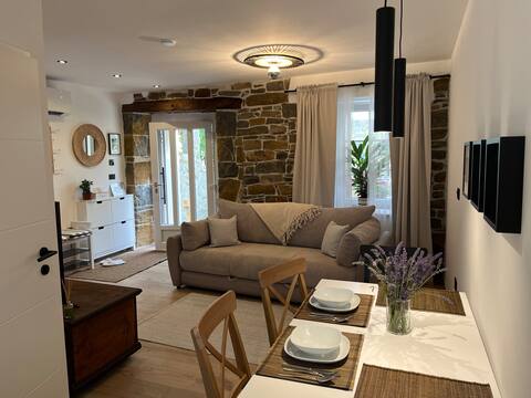 Successful Airbnb property: Apartment Villa Sabavia - Small in Obalno Kraška