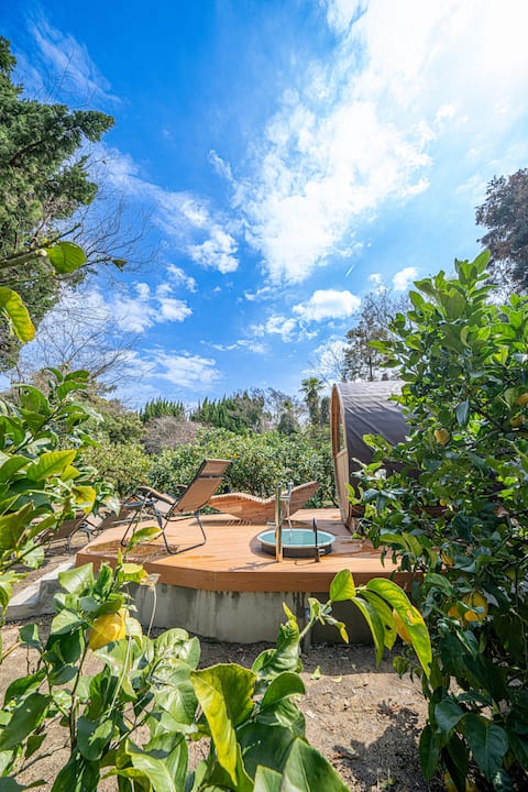 Lemon field and Seto Inland Sea: Fully private accommodation on the Shimanami Kaido