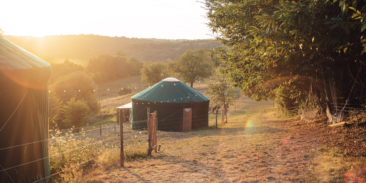 The image captures two yurts nestled in a natural setting during sunset. Soft golden light illuminates the landscape, highlighting the surrounding trees and grassy area. A rustic wooden gate adds a charming touch to the tranquil environment.