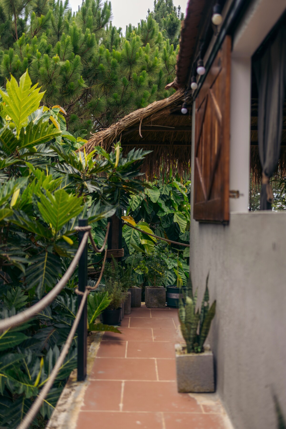 A walkway lined with potted plants leads to the entrance of the house. Lush greenery frames the path, with a thatched roof providing shelter overhead. Open wooden shutters allow natural light to enter the interior, creating a serene atmosphere.