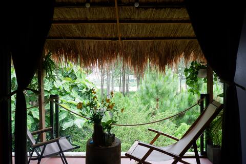 Pine Peak Bao Loc Farm - Villa