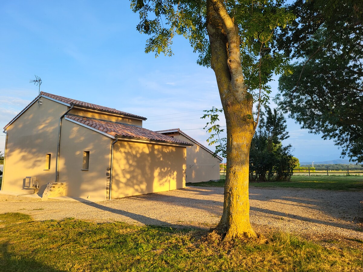 A spacious gîte is set against a clear blue sky, featuring a light-colored facade and a tiled roof. Surrounding greenery includes a large tree and shrubs, while a gravel area provides access to the entrance. Open fields stretch into the distance.