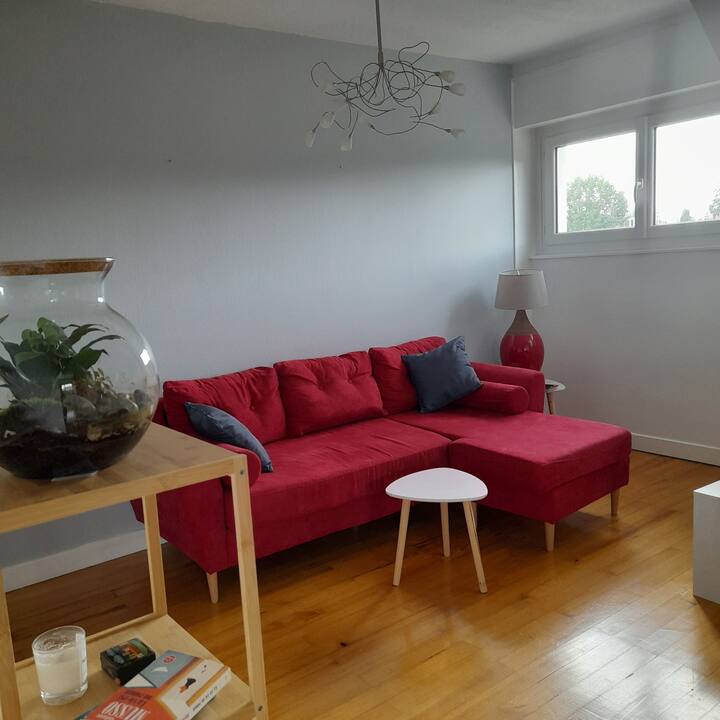 Logement Spacieux Centre-ville - Saint-Dié-des-Vosges