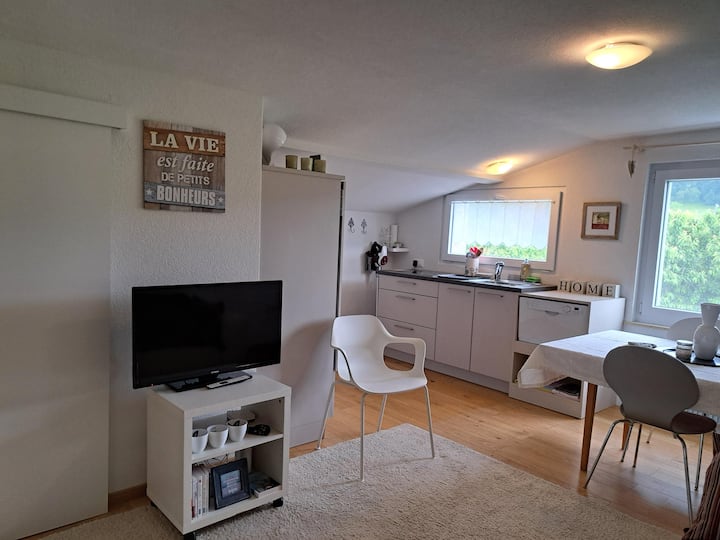 Espace Vert - Suiza