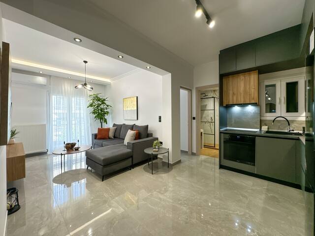 Luxury Downtown Apartment D1