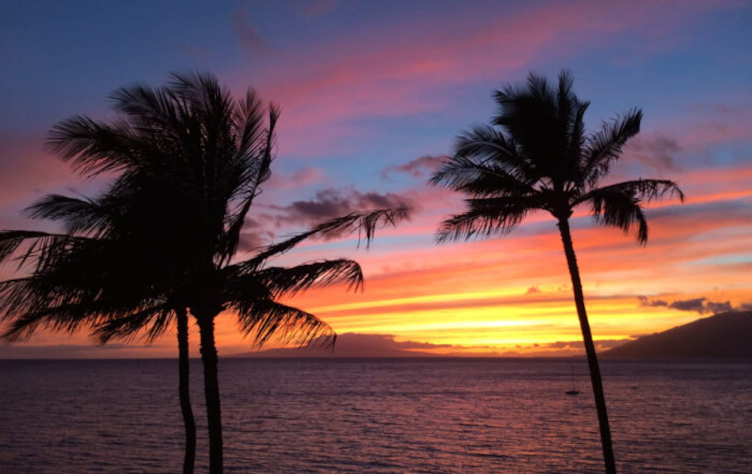 Home in Kihei · ★4.44 · 2 bedrooms · 3 beds · 2 baths - Image 64