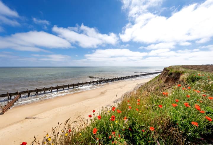 Sunscape Lodge by the Sea