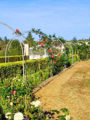 La Casa di Babette gallery image 3