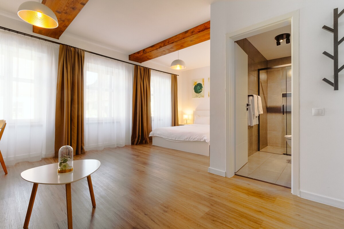 A bright, open space features tall windows draped with soft curtains, allowing natural light to fill the room. A spacious bed is positioned in the background, while a modern shower area is visible through an open door. A small round table sits in the foreground.