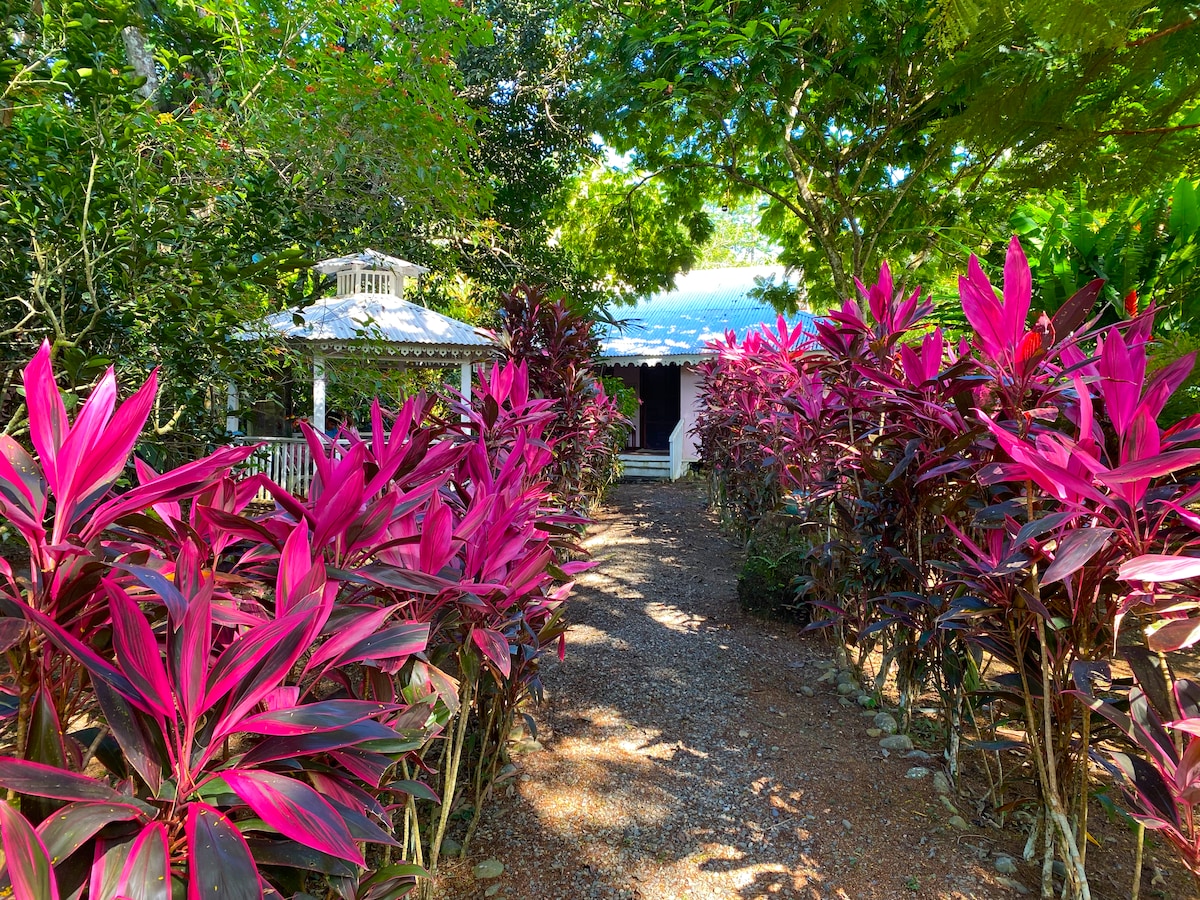 A shaded pathway lined with vibrant pink foliage leads toward a gazebo nestled among lush greenery. The entrance to the property is framed by tropical plants, creating a tranquil and inviting approach to the Caribbean-style home.