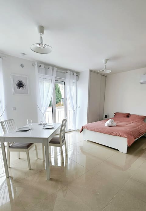 Charming Studio near Massy Palaiseau train station