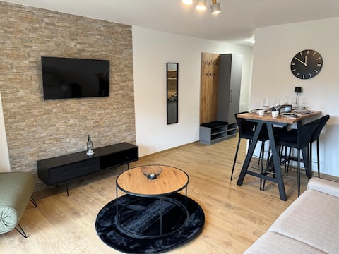 Top performing Airbnb: Studio Chesery in Troistorrents