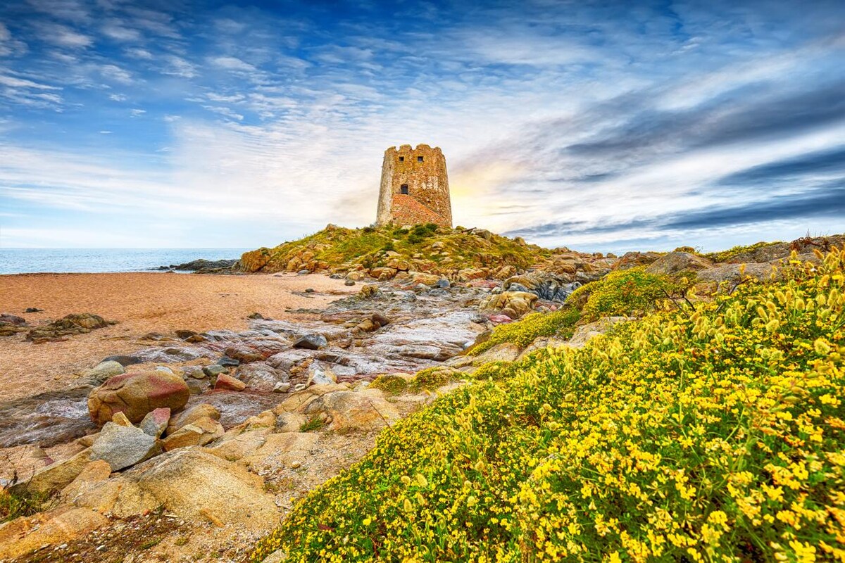 A historic tower stands on a rocky beachfront, surrounded by vibrant yellow flowers. The scene is enhanced by a dramatic sky that transitions into soft blue and warm golden hues, while the sandy beach is visible in the foreground.