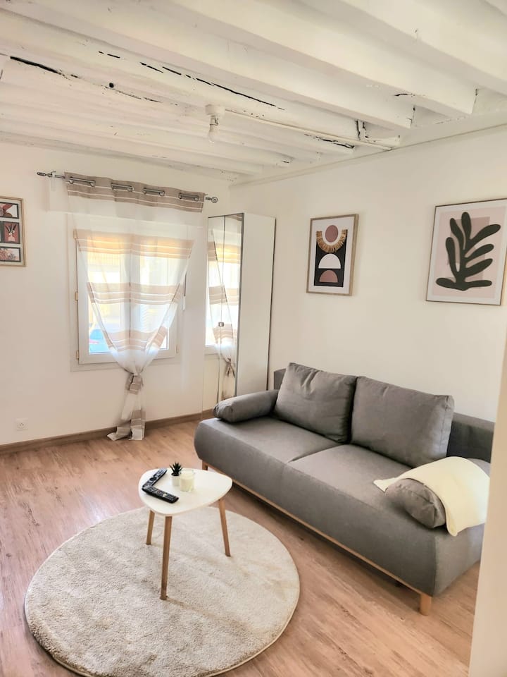 Studio Lumineux Refait à Neuf - Saint-Witz